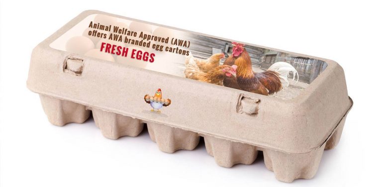 Finding Affordable Egg Cartons: Tips and Top Picks for Backyard Chicken Owners.