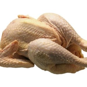 Backyard Chicken Processing Equipment