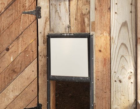 Do automatic chicken doors work? An In-depth look at automated coop doors