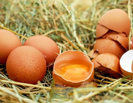 Is it safe to eat eggs from backyard chickens?