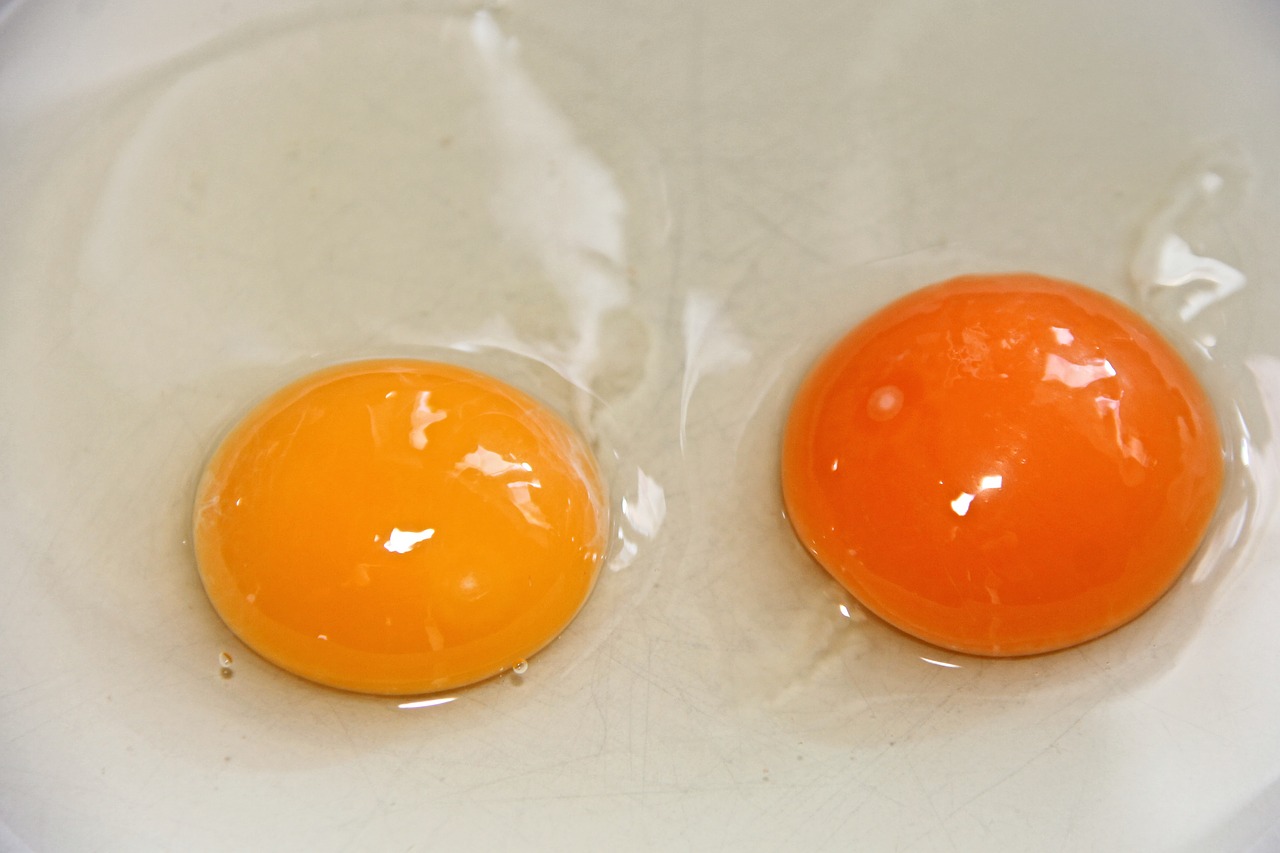 Egg Yolk Color. Pale Yellow to Deep Orange. Egg Yolk Color Meaning
