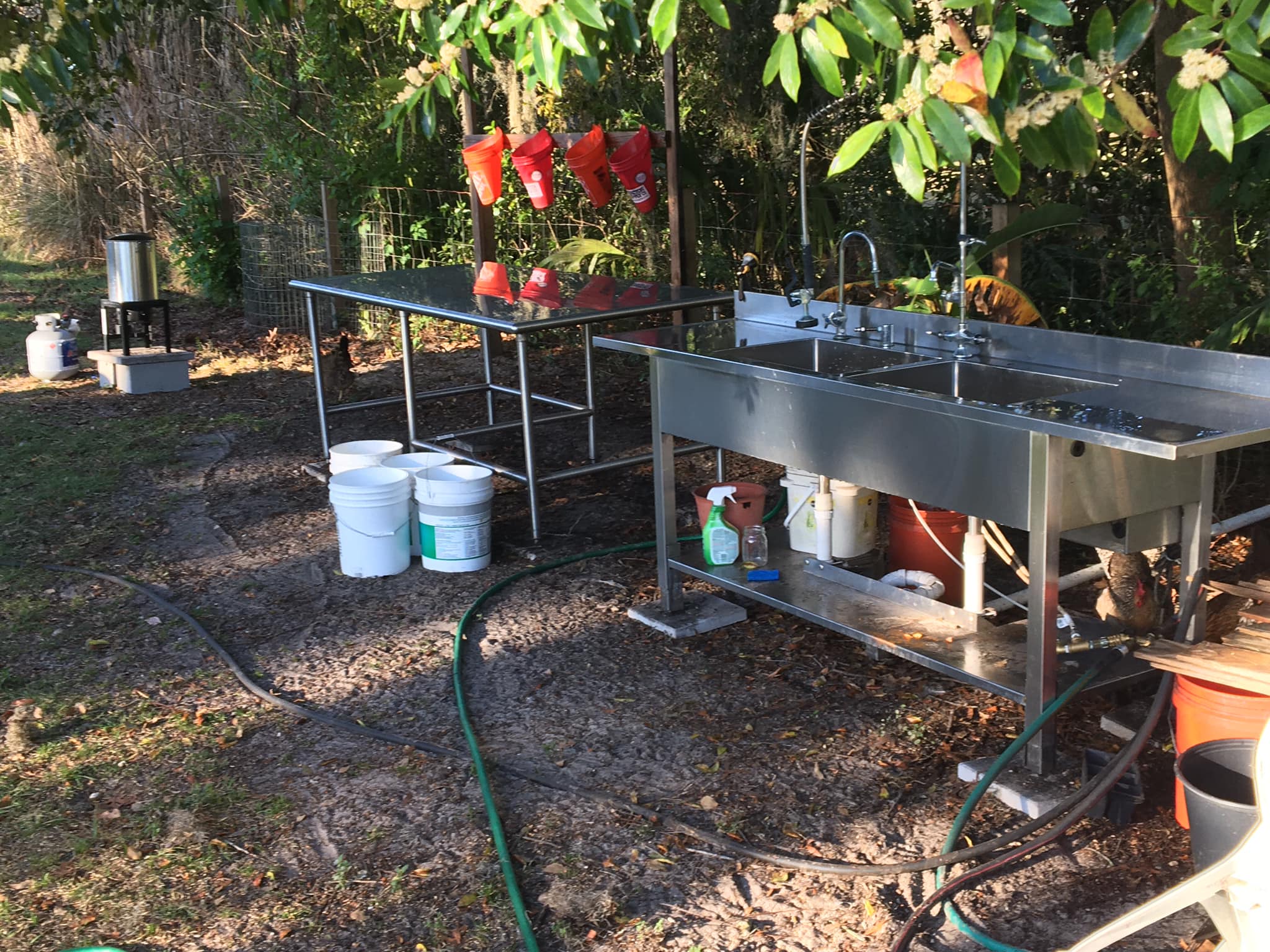 Backyard Chicken Processing Equipment Polystead