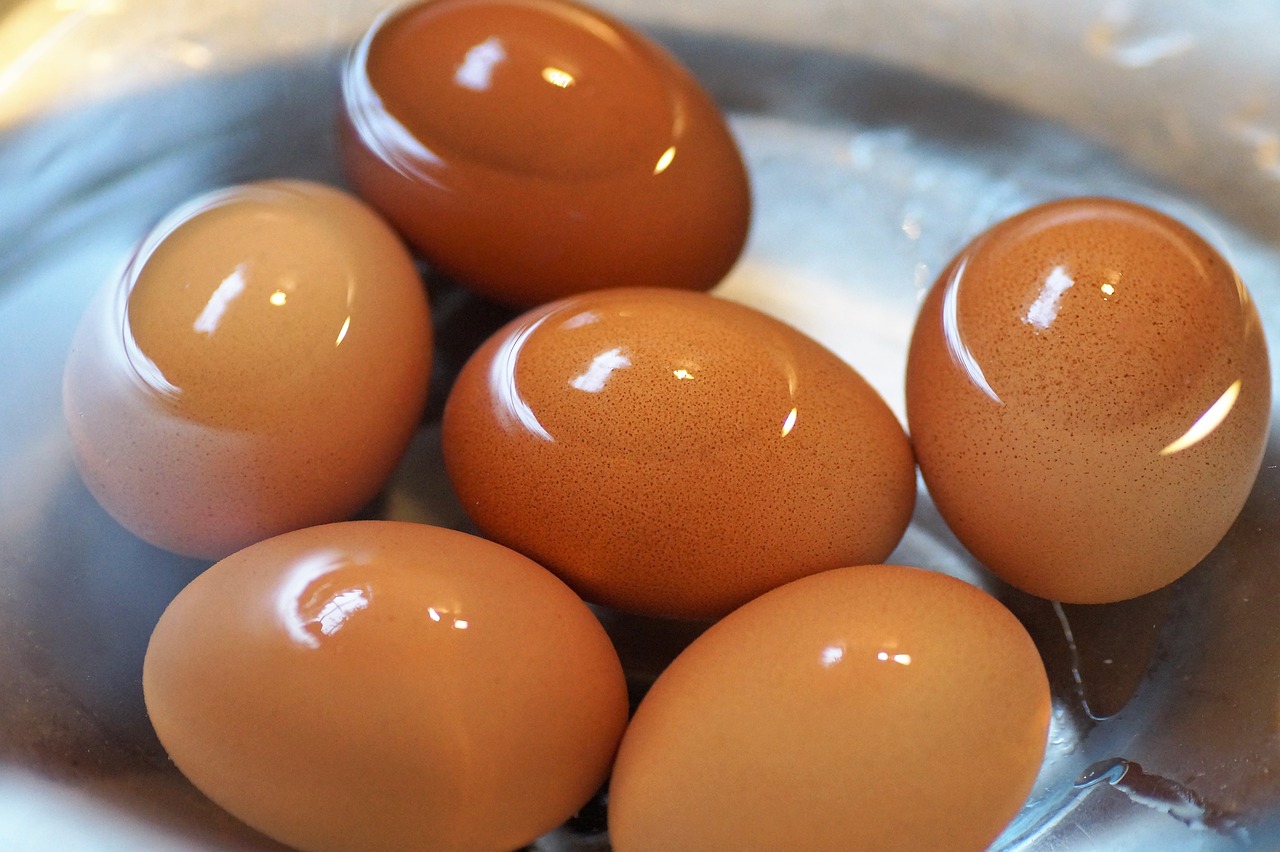 How to Wash backyard chickens eggs