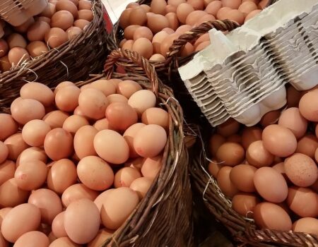 How to Reduce Egg Carton Use When Selling Eggs.