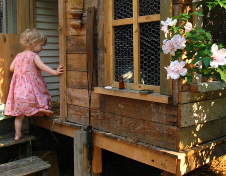 Affordable Windows for Your Chicken Coop: Where to Find Them