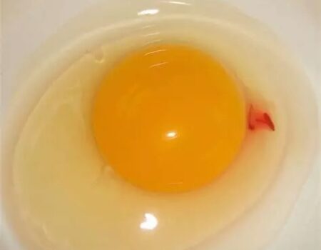 Blood on Egg Yolk: Should You Be Concerned?
