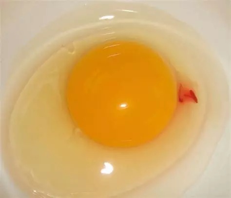 Blood on Egg Yolk: Should You Be Concerned?