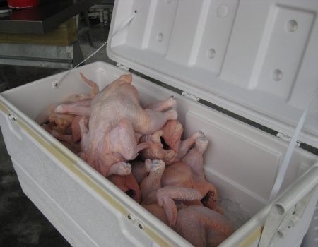 Chicken Butchering Day: Tips for Chilling and Storing Your Birds.
