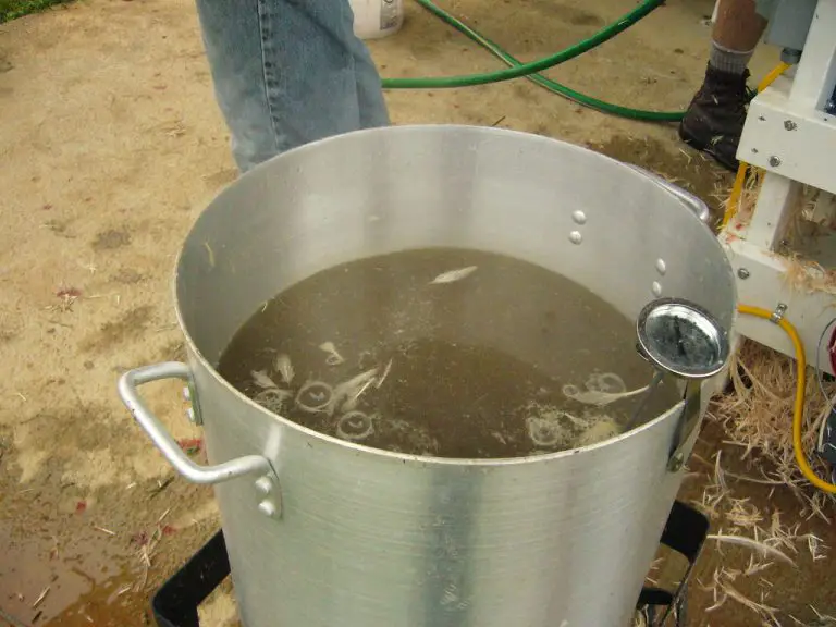 How to Maintain a Consistent Temperature for Scalding Meat Using a Propane Turkey Pot
