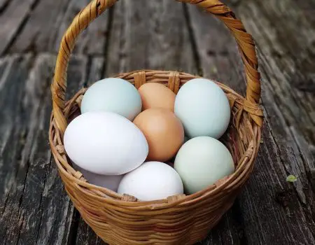 Tips for Storing Eggs from Your Laying Hens