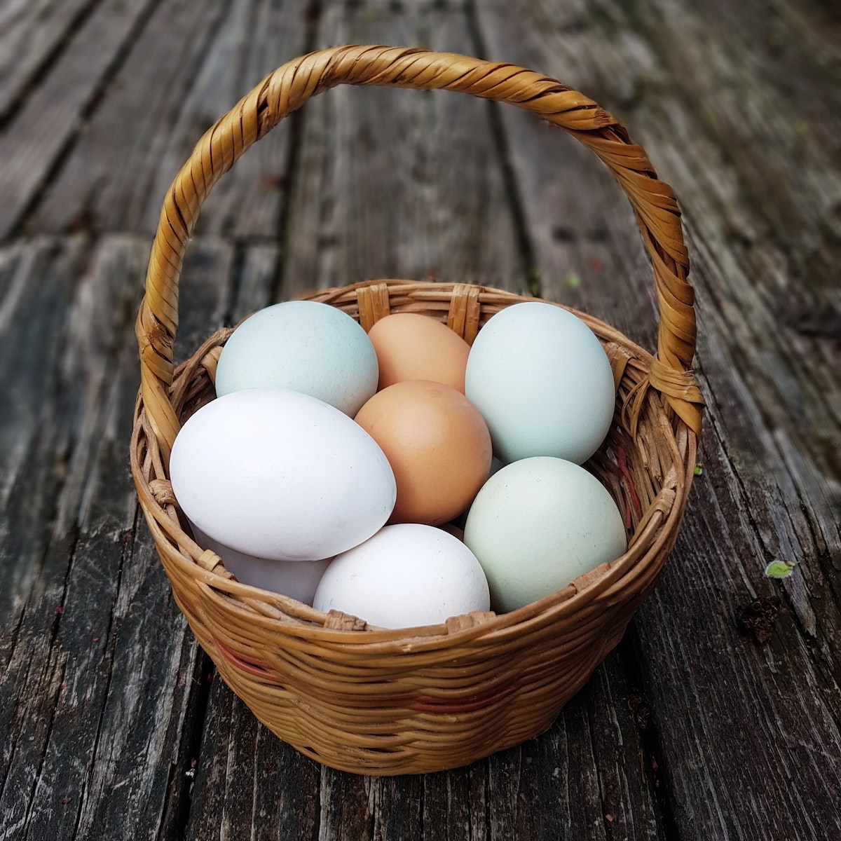 Tips for Storing Eggs from Your Laying Hens