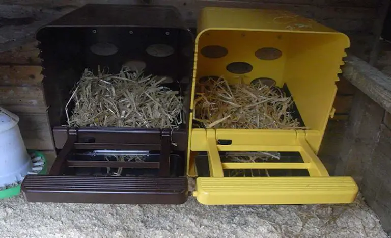 The Pros and Cons of Using Plastic Nesting Boxes for Your Chickens.