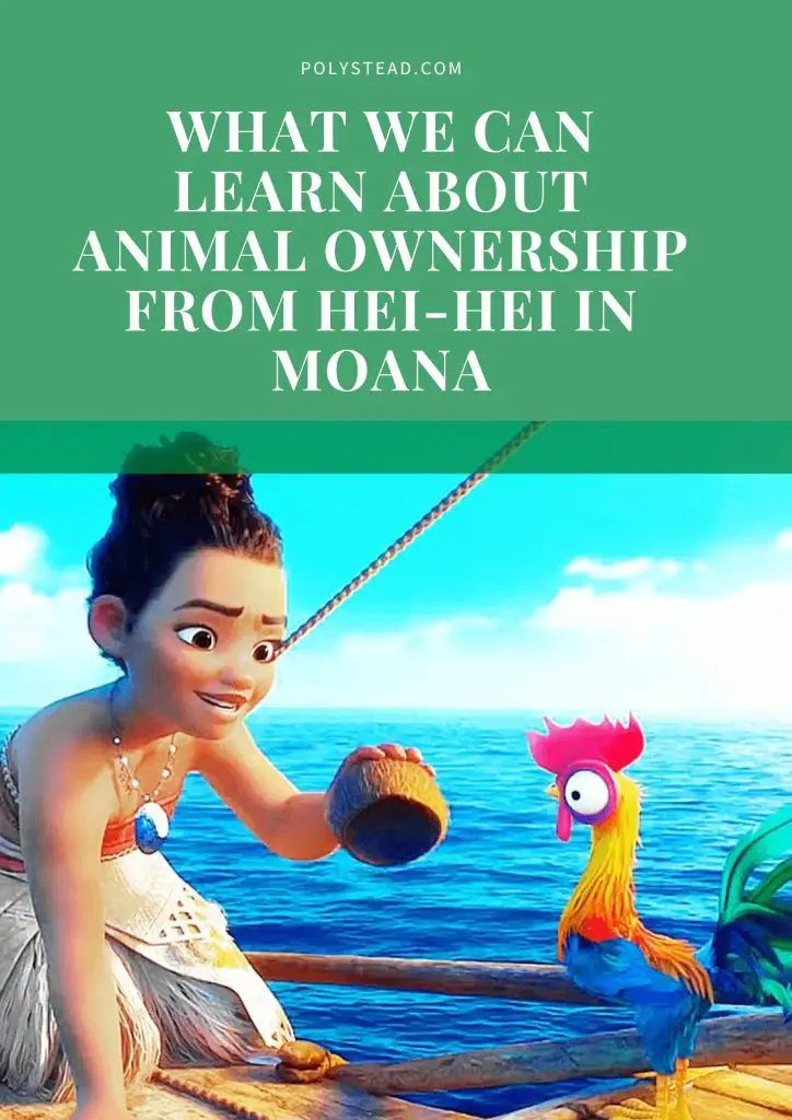 What We Can Learn About Animal Ownership From Hei-Hei in Moana