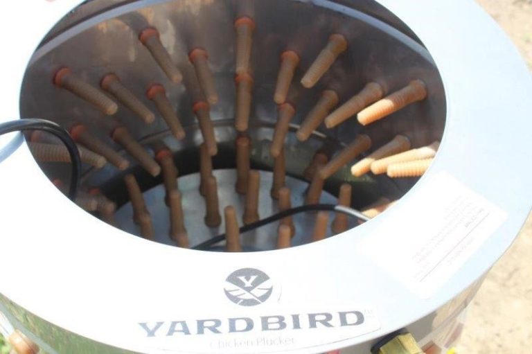 The Yardbird Chicken Plucker: All Your Questions Answered.