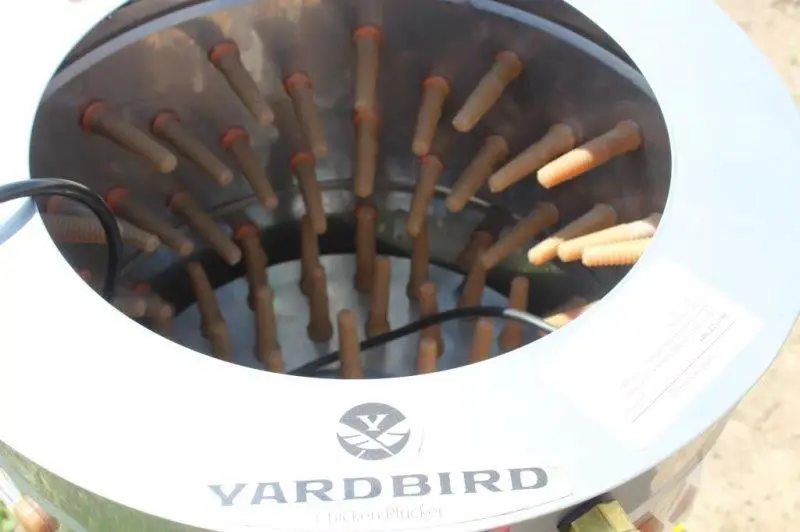 Yardbird Chicken Plucker