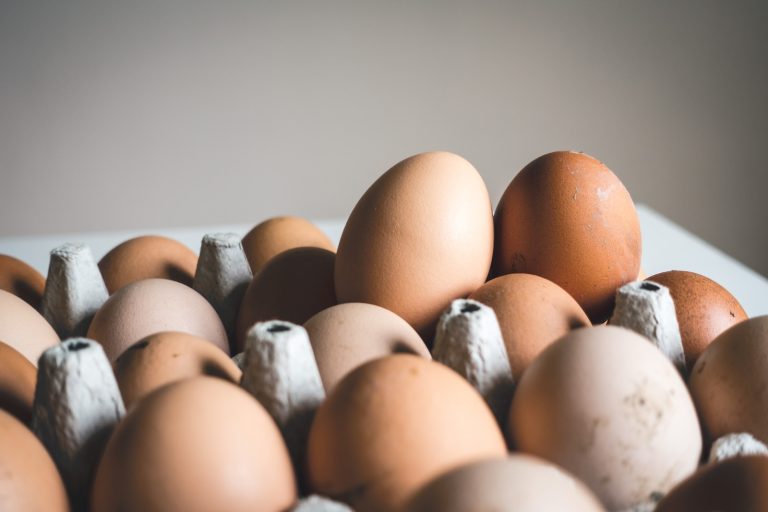 How to Identify Rotten Eggs by their Yolk Color and Other Indicators.