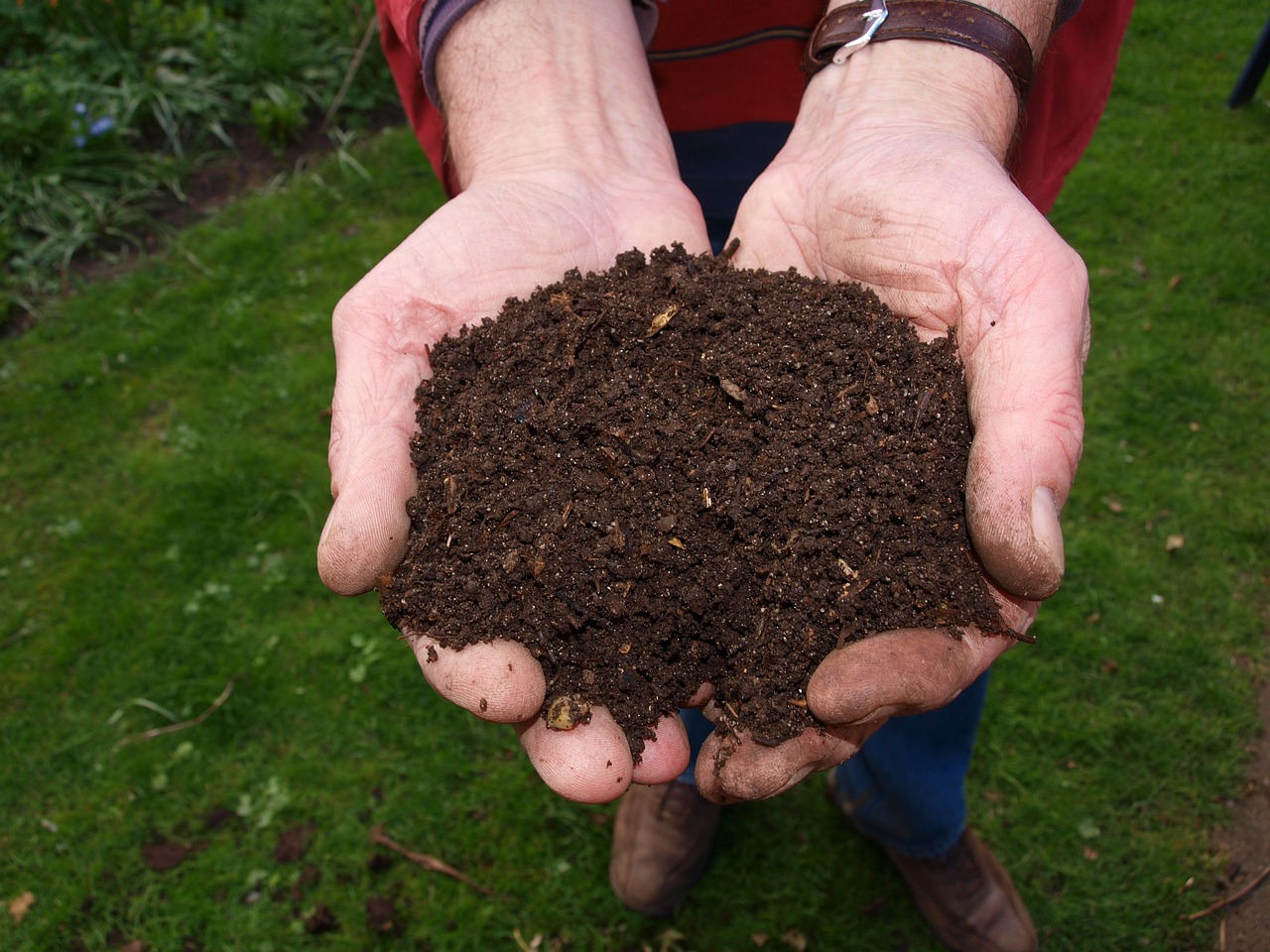 Can I garden without compost?