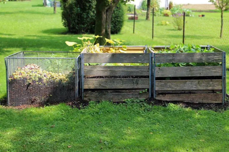 Elevated Temperatures in Composting and Its Impact on Helpful Bacteria
