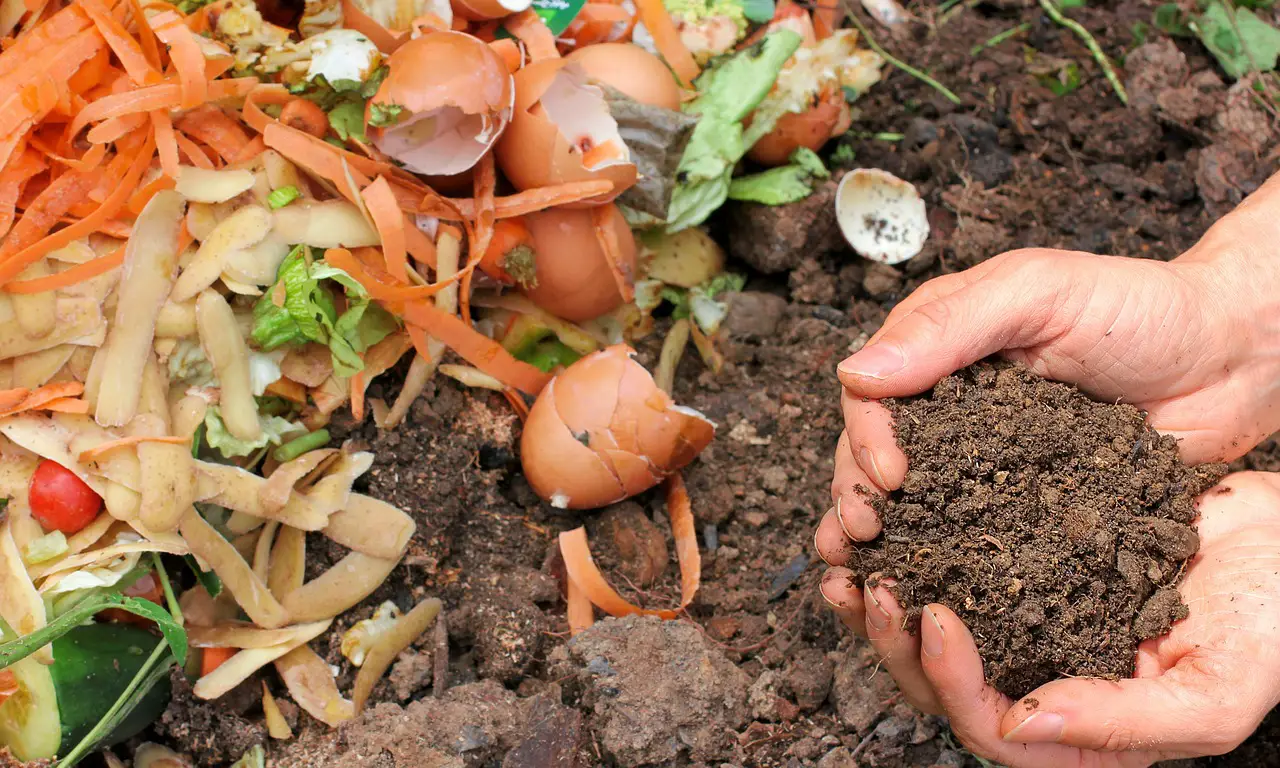 Composting in Small Spaces: Navigating the Journey to Compost Completion