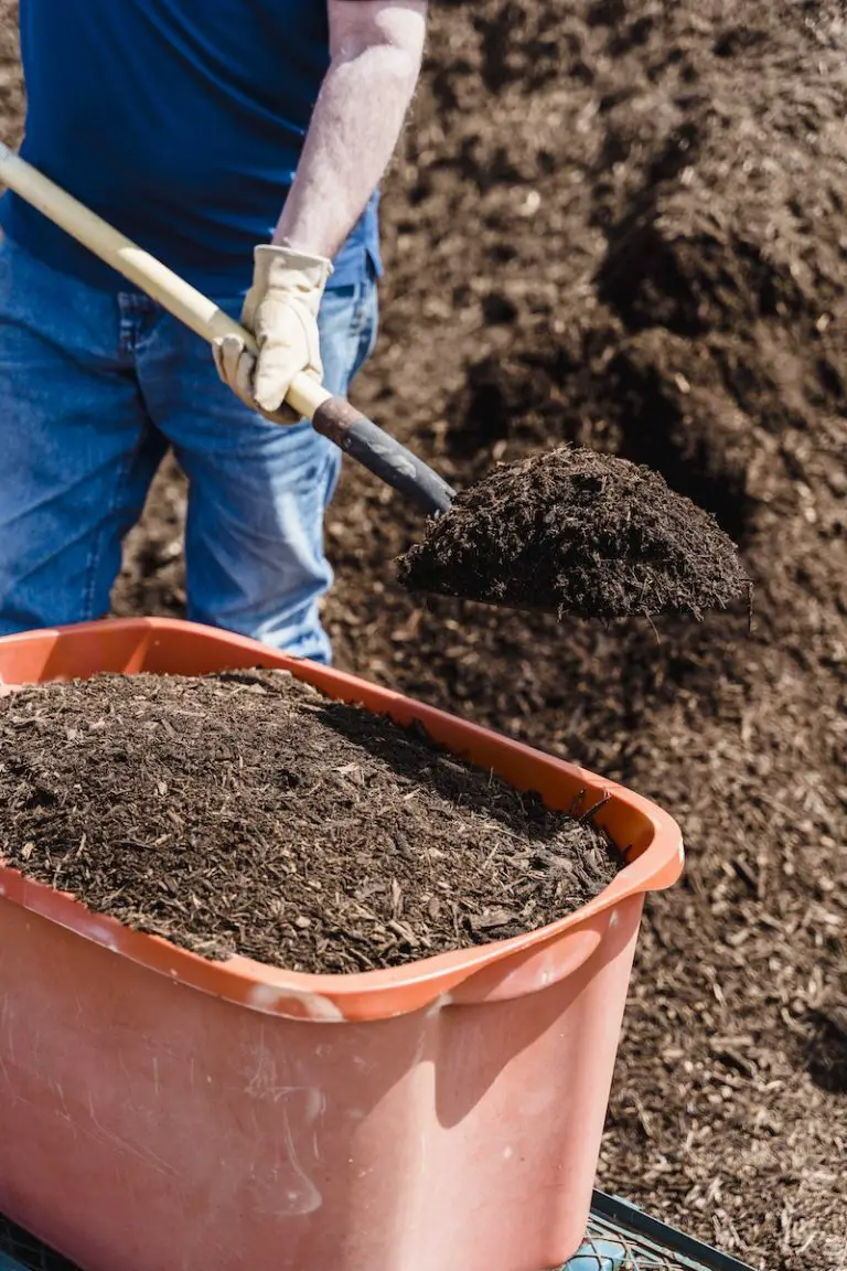 Mastering Compost Sifting: Achieving the Perfect Texture for Your Garden.