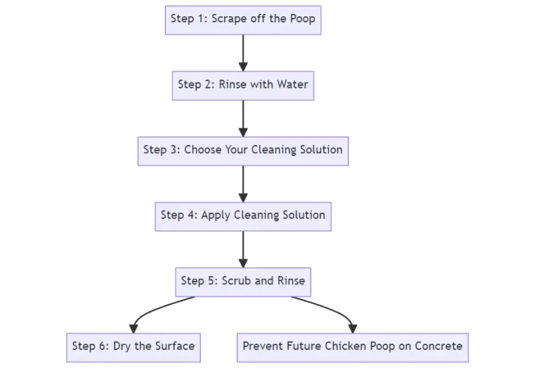 How to Clean Chicken Poop off Concrete A Comprehensive Guide Polystead