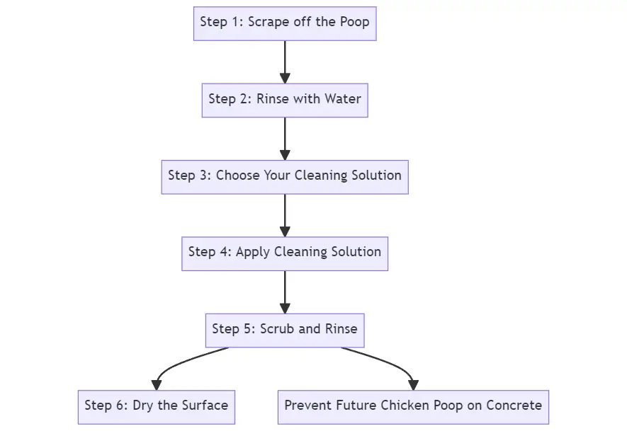 How to Clean Chicken Poop off Concrete A Comprehensive Guide Polystead
