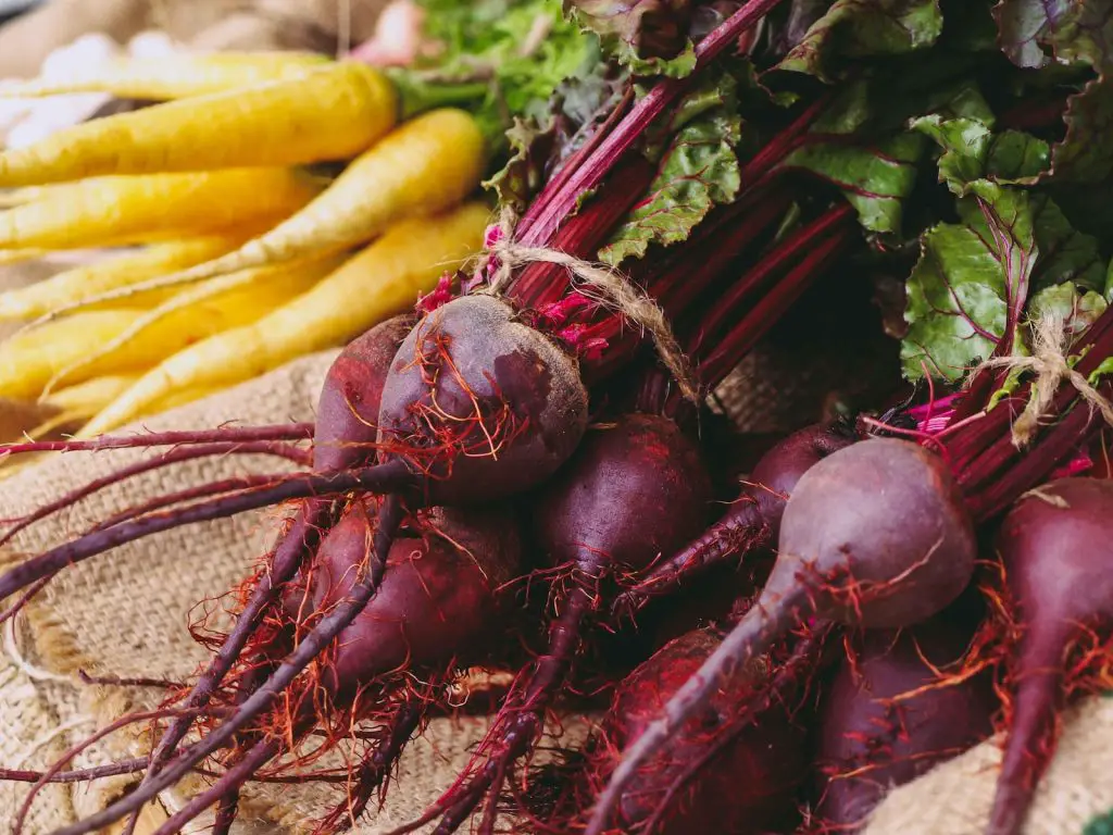 Beets can lead to reddish chicken poop
