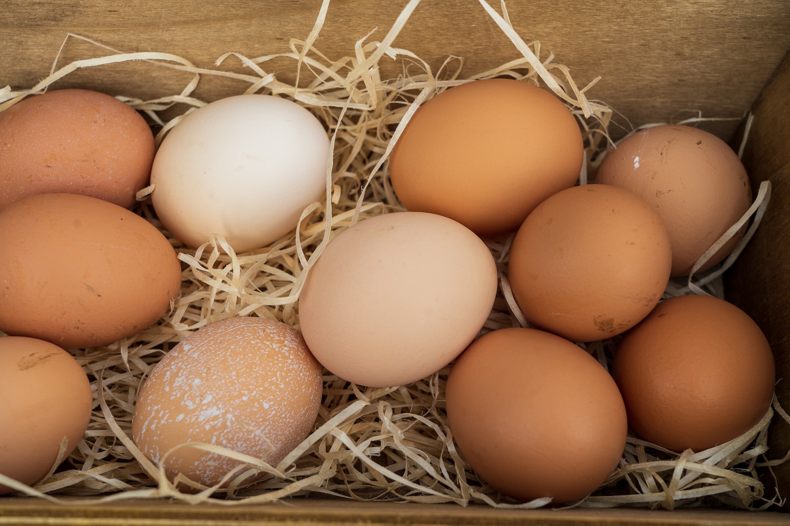 Preventing Chickens from Hiding Eggs: Strategies and Tips for Easy Collection