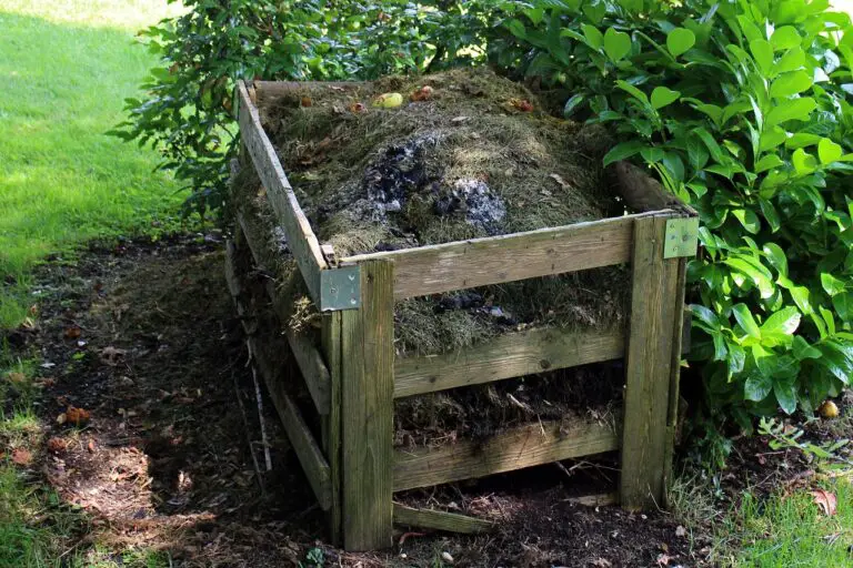 Covering Your Compost Pile: To Cover or Not to Cover?