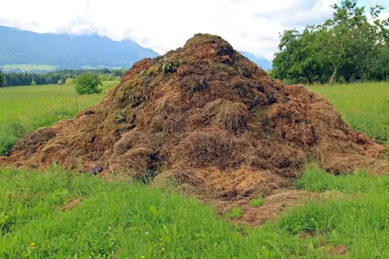 Berkeley Hot Composting Method