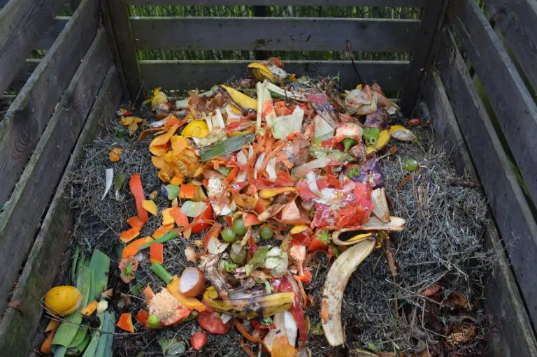 Hot Compost Carbon To Nitrogen Ratio