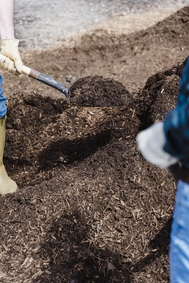 Hot Compost: How Often To Turn